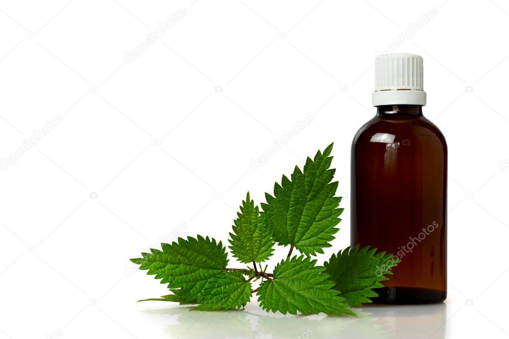 Stinging nettle essential oil or tincture in a bottle isolated on white background
