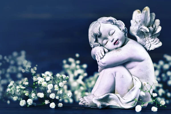 Sympathie Kaart Met Slapende Engel Witte Bloemen — Stockfoto