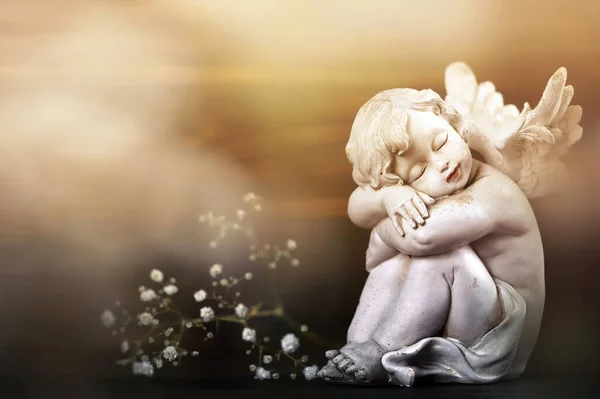 Uyuyan melek ve beyaz çiçekler. Sempati kartı 