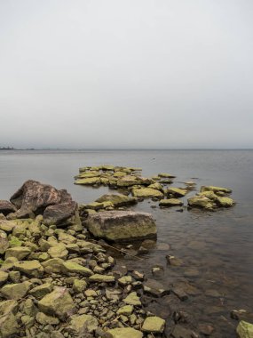 Finlandiya Körfezi kıyısında. Kıyıdaki büyük kayalar. Yosun ve yosunla kaplı kayalar. Temiz su. Hava bulutlu. Güzel doğal manzara. Ön planda büyük bir kaya parçası. Güzel ufuk çizgisi