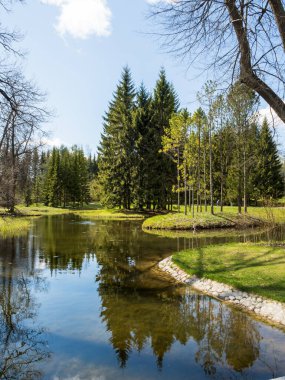 Güzel doğal manzara. Aynalı suyu olan bir nehir. Nehir kıyısında yeşil çimenler ve kozalaklı ağaçlar yetişir. Beyaz bulutlu mavi gökyüzü.