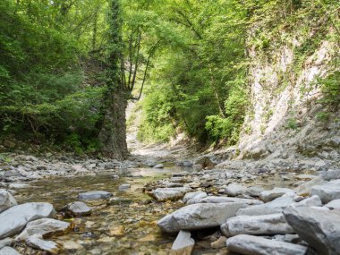 Güzel doğal dağ manzarası. Hızlı, soğuk nehir, ağaçlar, kayalar ve kayalar kıyıda. Yatay olarak
