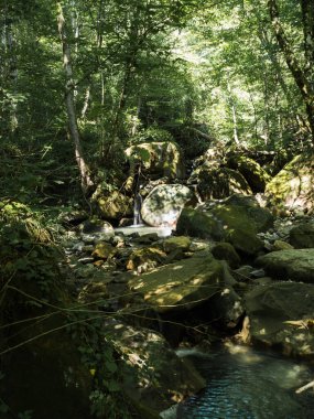 Ortasında ve küçük bir dağ nehrinin kıyısında soğuk ve berrak sularla kaplı kocaman kayalar var. Su, taşlardan oluşan doğal bir vadiye akar. İnsansız dağ manzarası