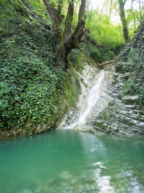 Katmanlı kayalarda güzel, temiz bir şelale hızlı bir derede vaftiz fontuna akar. Şelalenin eteğindeki Aquamarine yazı tipi. Sudaki taşlar, ormanın etrafındaki taşlar. İnsansız dağ manzarası.