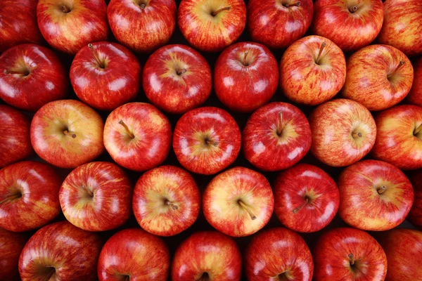 Manzanas rojas frescas — Foto de Stock