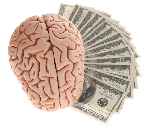 Brain Model and pile of dollars — Stock Photo, Image