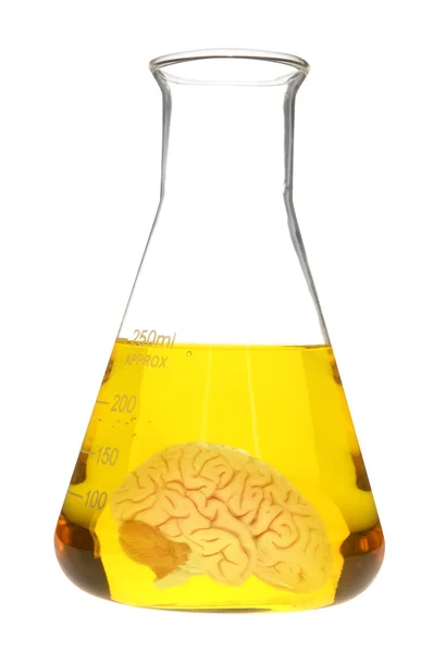 Kimyasal şişesi beyin modeli — Stok fotoğraf