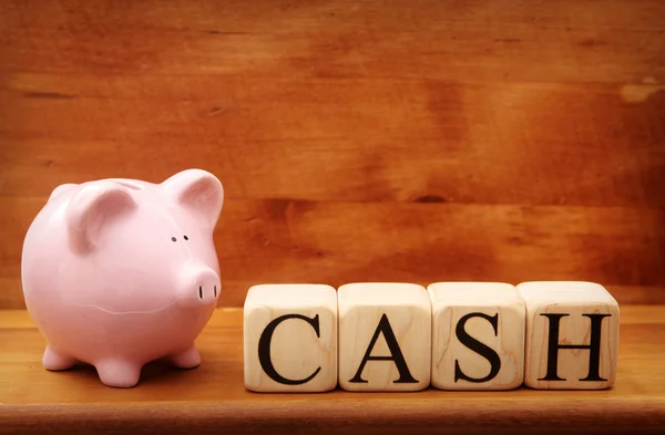 Piggy Bank with wooden blocks — Stock Photo, Image