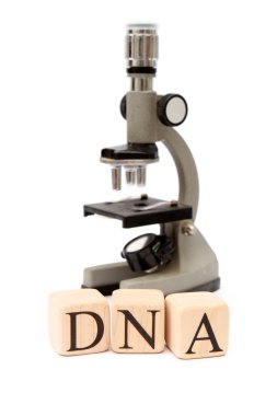 Building Blocks with microscope