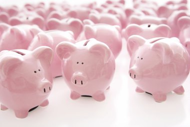 Domuzcuk bankalar üzerinde beyaz