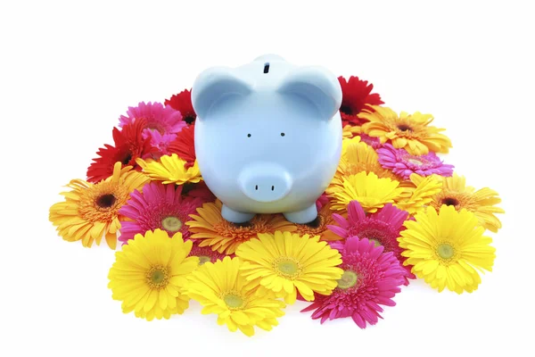 Piggy bank with flowers — Stock Photo, Image