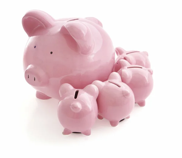 Piggy banks op wit — Stockfoto