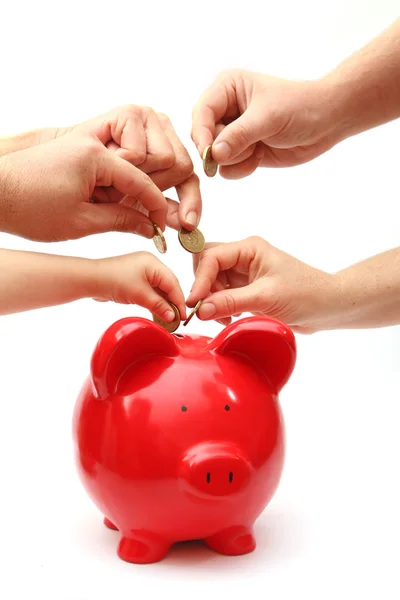 Hands putting coins into piggy bank — Stock Photo, Image