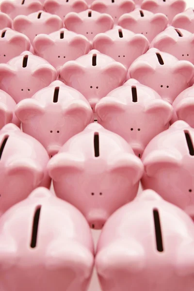 Piggy Banks en blanco —  Fotos de Stock