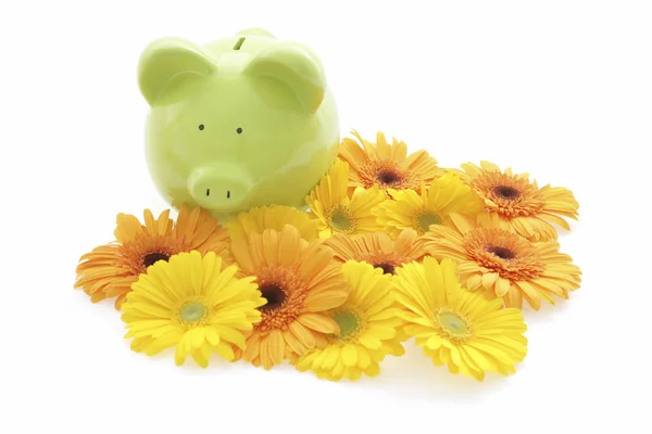 Piggy bank with yellow flowers — Stock Photo, Image