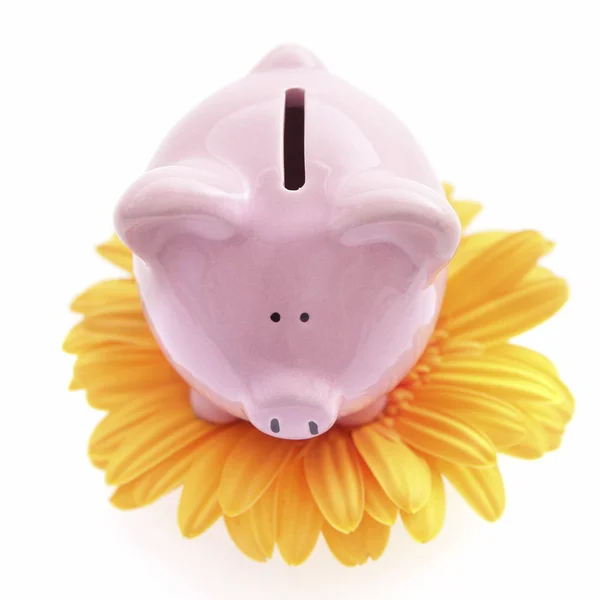 Piggy bank on yellow flower — Stock Photo, Image