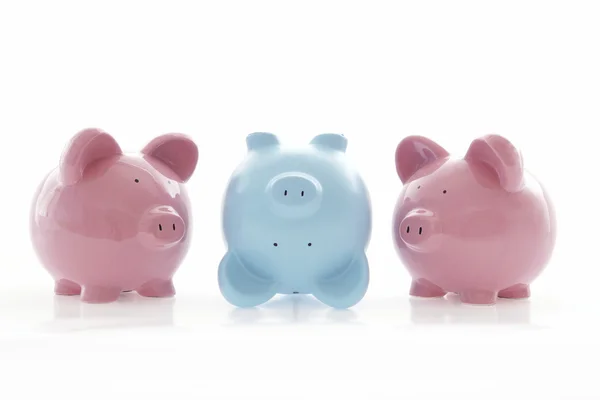 Pink and blue Piggy Banks — Stock Photo, Image