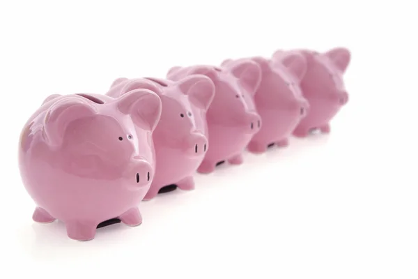 Piggy Banks on white — Stock Photo, Image