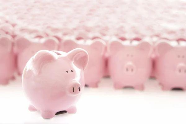 Piggy Banks on white — Stock Photo, Image