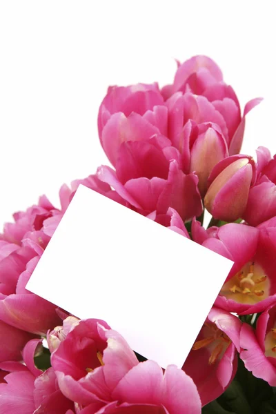 Buquê de tulipas com cartão — Fotografia de Stock