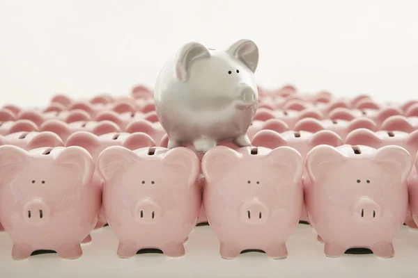 Piggy banks op wit — Stockfoto