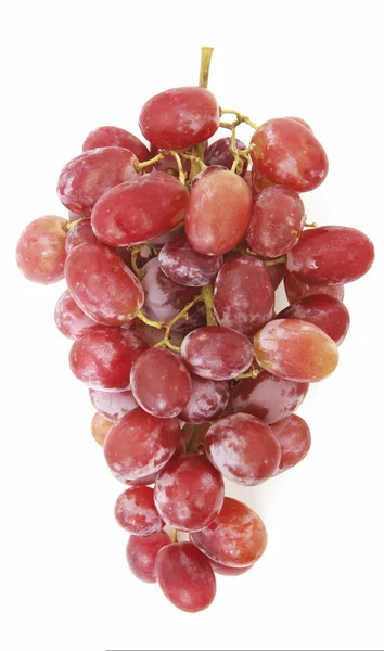 Red ripe grape — Stock Photo, Image