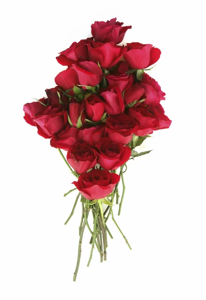 Beautiful red roses bouquet Stock Image