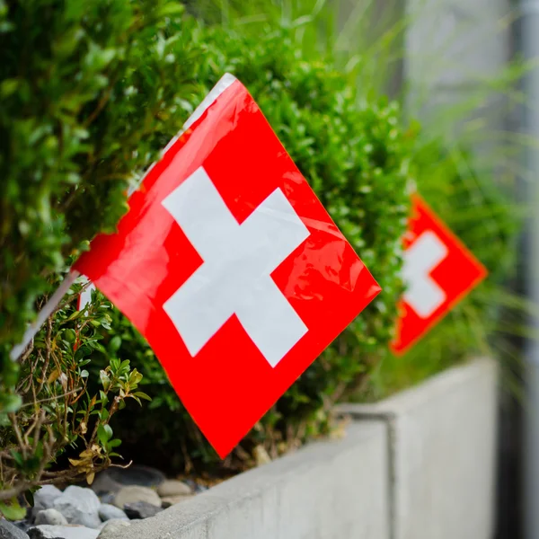 Swiss bayrakları asılı Ulusal gününde açık Bern