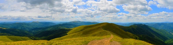 Karpatlar panorama