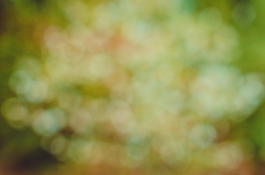 Ufuk yeşil doğal arka plan