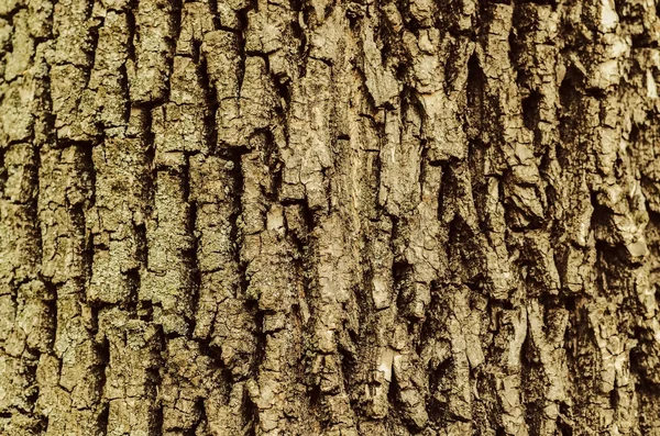 eski tahta desenli arkaplan