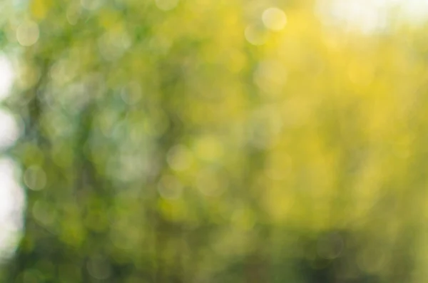 Ufuk yeşil doğal arka plan