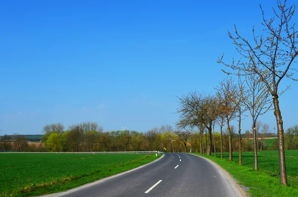 Bahar yeşil alan asfalt yol