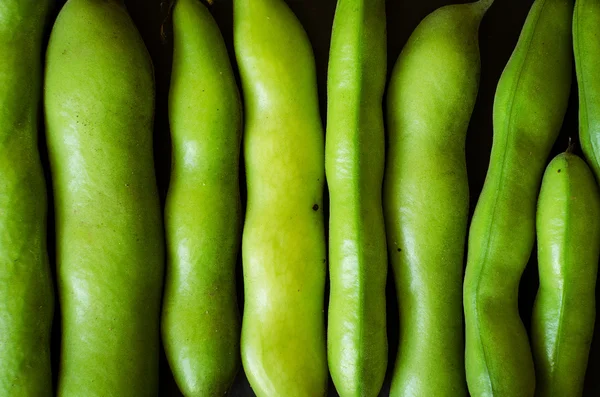 Textura de feijão verde — Fotografia de Stock