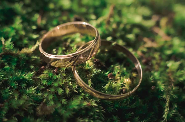 Boda anillos de oro — Foto de Stock