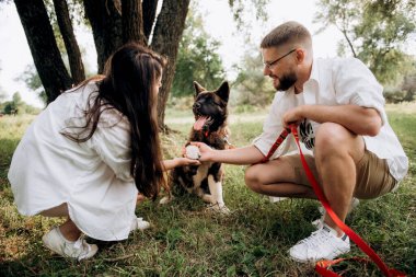 Amerikan Akita köpeği yeşil çayırda bir adam ve bir kızla yürüyüşe çıktı.