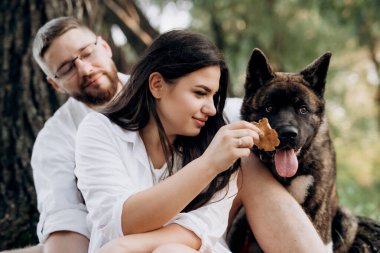 Amerikan Akita köpeği yeşil çayırda bir adam ve bir kızla yürüyüşe çıktı.