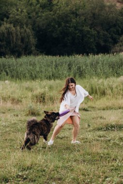 Amerikan Akita köpeği yeşil çayırda bir adam ve bir kızla yürüyüşe çıktı.