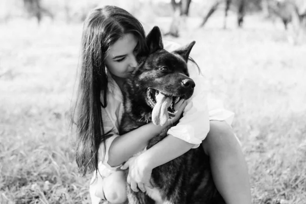 American Akita Cão Para Passeio Com Cara Uma Menina Pradaria — Fotografia de Stock