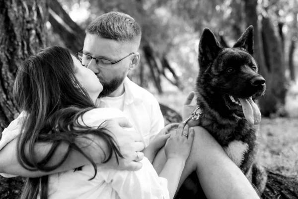 Amerikan Akita köpeği yeşil çayırda bir adam ve bir kızla yürüyüşe çıktı.