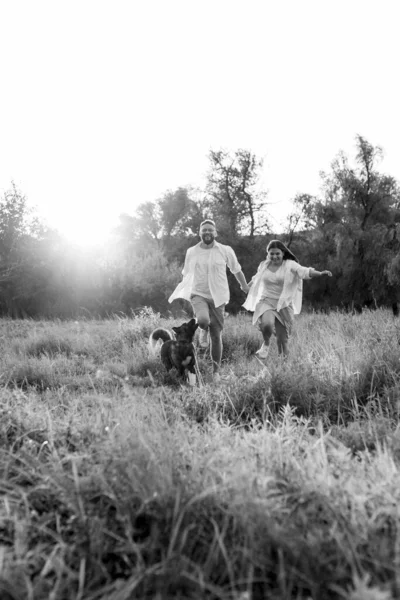 Amerikan Akita köpeği yeşil çayırda bir adam ve bir kızla yürüyüşe çıktı.