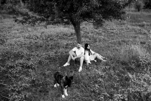 Chien Akita Américain Pour Une Promenade Avec Gars Une Fille — Photo