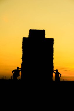 Bir kızla yaz yürüyüşüne çıkan bir adam samanlıkların yanındaki tarlada