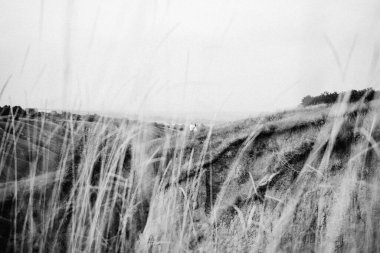 Dünya 'nın yeşil bir kanyonunun arka planında hafif elbiseli bir kızla bir adam.