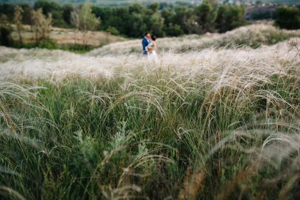 Una Coppia Innamorata Ragazzo Una Ragazza Una Passeggiata Nella Cintura — Foto Stock