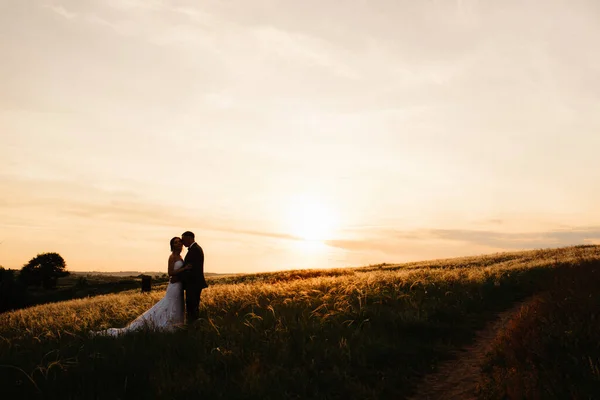 Couple Amoureux Mec Une Fille Promenade Dans Ceinture Forestière — Photo