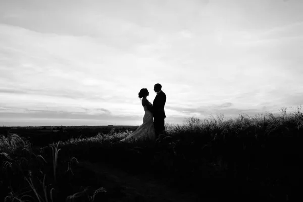 Couple Amoureux Mec Une Fille Promenade Dans Ceinture Forestière — Photo