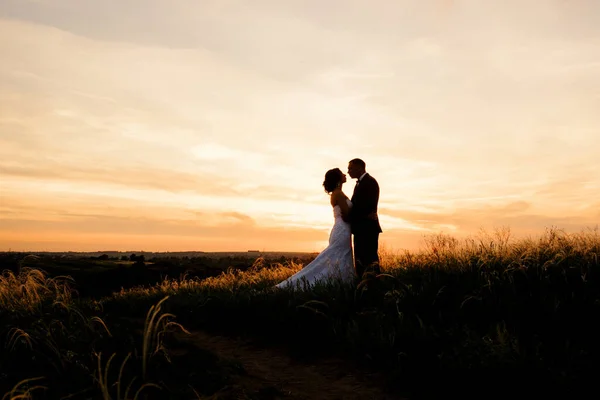 Couple Amoureux Mec Une Fille Promenade Dans Ceinture Forestière — Photo