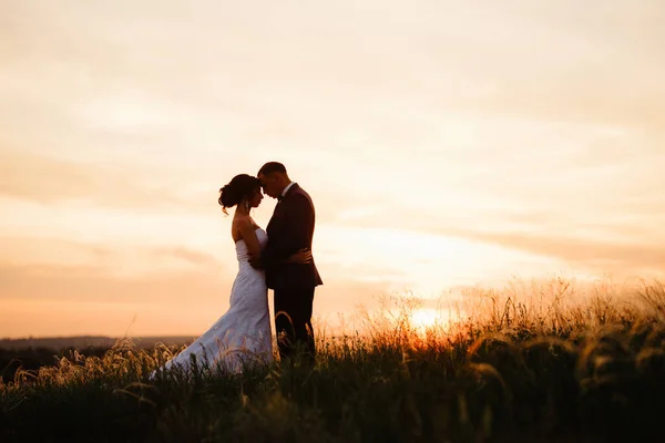 Couple Amoureux Mec Une Fille Promenade Dans Ceinture Forestière — Photo