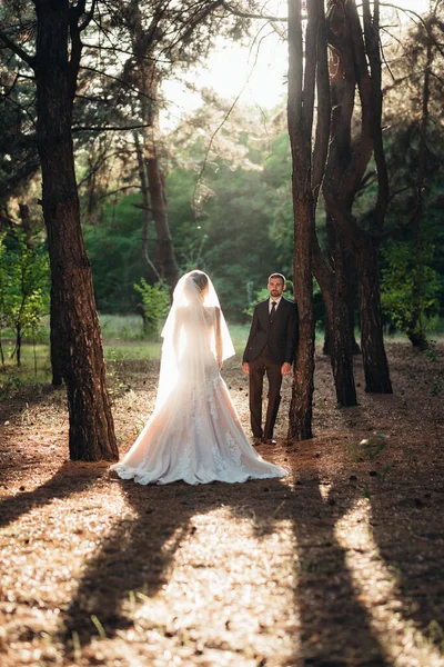 Promenad Bruden Och Brudgummen Genom Höstskogen Oktober — Stockfoto